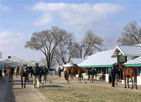 keeneland horse sales 2022.